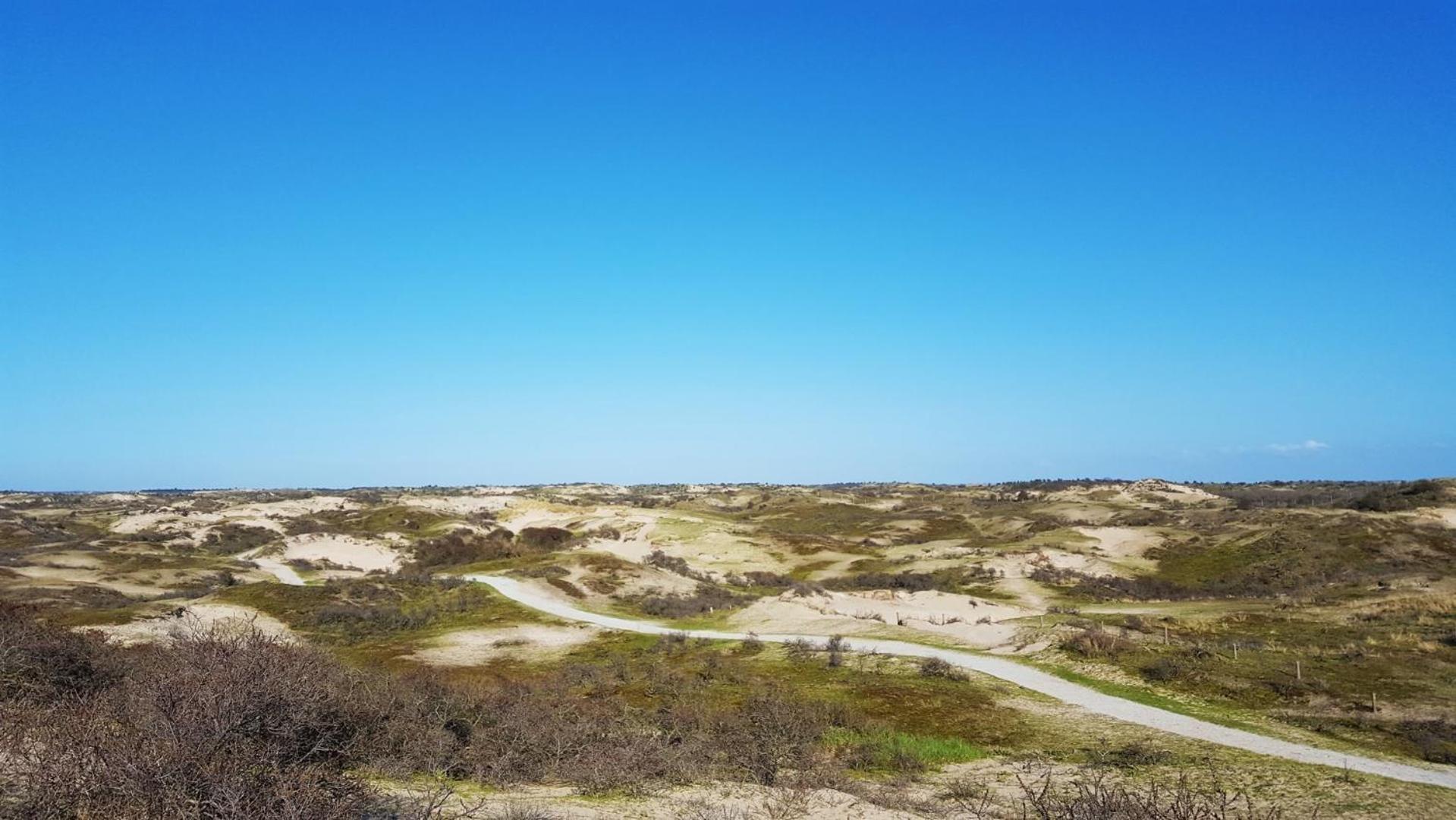 Bamboe Suite Bentveld Met Ligbad En Gratis Parkeren Kültér fotó